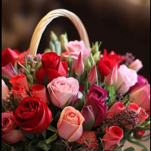 Profil de Paulette MONCEAUX