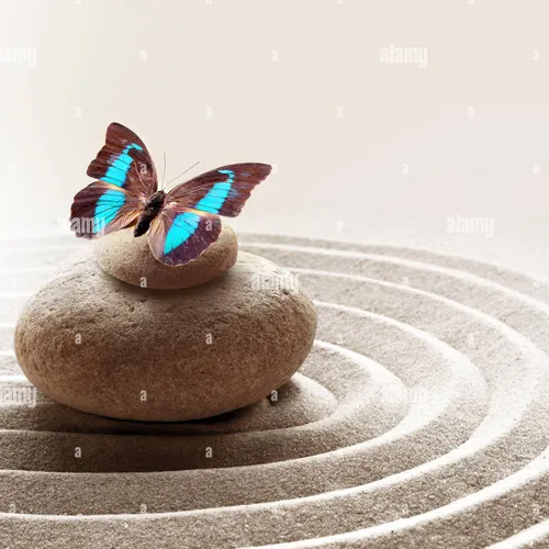 Profil de Liliane EVEN