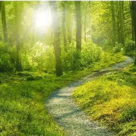 Profil de BERNARD HOUDAYER