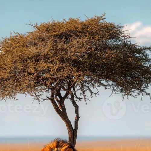 Profil de Jean-Louis COULOMBE