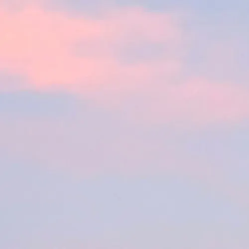 Profil de Alexis RELLO