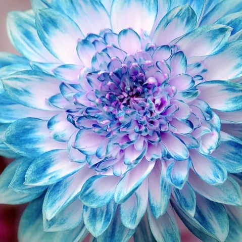 Profil de Patricia RIVIÈRE née SIMON