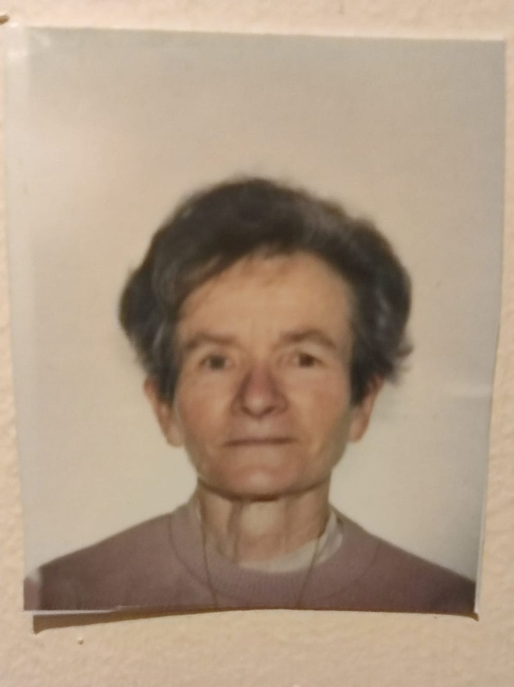 Profil de Josette DALEAU