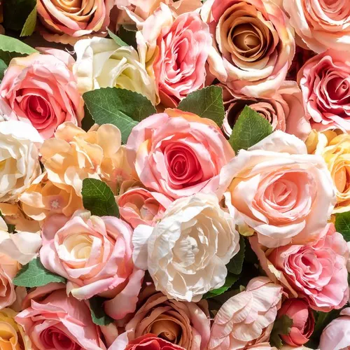 Profil de Thérèse RAFERT