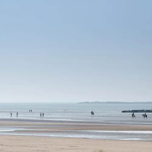 Profil de Bernard DAOULAS