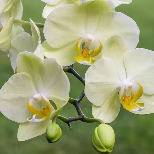 Profil de Monique VASSEUR