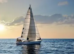 Profil de Dominique LE ROUZIC